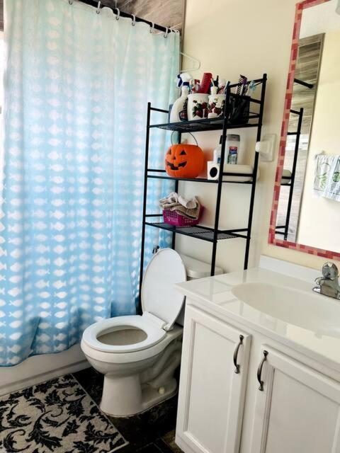 Room In Citrus Park And Carollwood, Close To The Airport & Downtown Tampa Luaran gambar