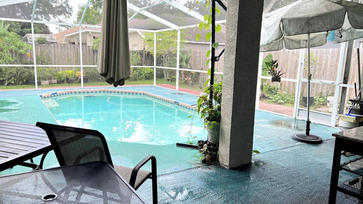 Room In Citrus Park And Carollwood, Close To The Airport & Downtown Tampa Luaran gambar