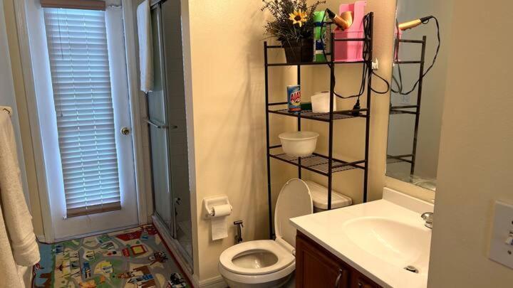 Room In Citrus Park And Carollwood, Close To The Airport & Downtown Tampa Luaran gambar